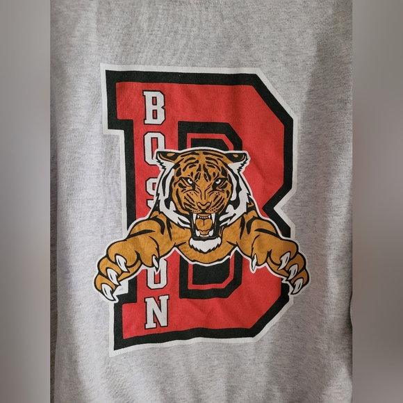Boston Tigers Hockey crewneck pullover gray sweater | size M/L - Picture 2 of 7